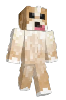 b_____d Minecraft avatar full body