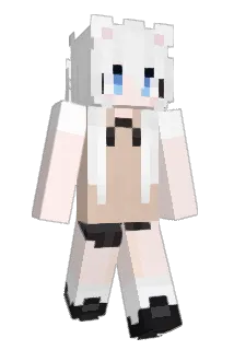 b_occ Minecraft avatar full body