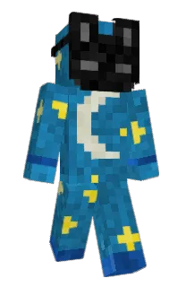 Front of swifties's skin