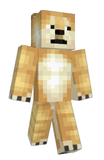 Front of Minecraft skin