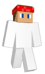 Minecraft skin — Classic model