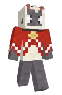 Front of Minecraft skin