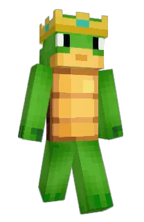 Front of epste's skin