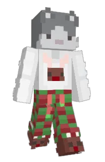 Front of VHS099's skin
