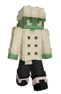 Front of dykw's skin