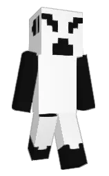 Minecraft skin — Classic model