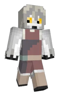 Front of 17poolio's skin