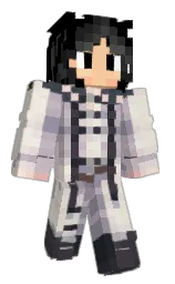 Minecraft skin — Classic model