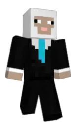 Minecraft skin — Classic model
