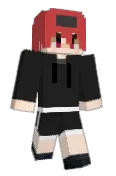 SUS_Ham