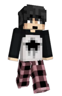 Front of flaxoy's skin