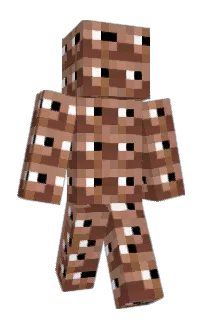 Front of cash5454's skin