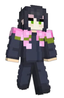 Front of Erfio's skin