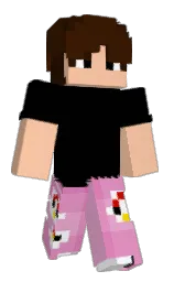 Classic Minecraft skin