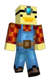 Skin preview