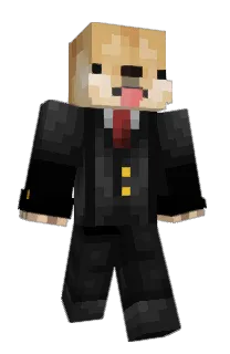 Front of RuinedPixel's skin