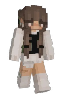 babix22 Minecraft avatar full body