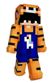 Front of Shuo's skin