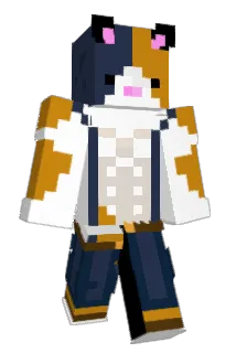 baccc Minecraft avatar full body