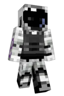 bacconnator Minecraft avatar full body