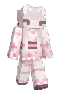 Front of KC_Nigiri's skin