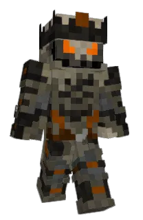 Front of Spinerich's skin