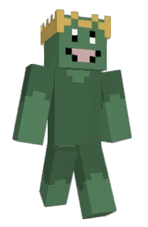 Front of gongzitaru's skin