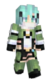 Skin preview