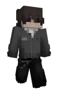 Front of RXS5's skin