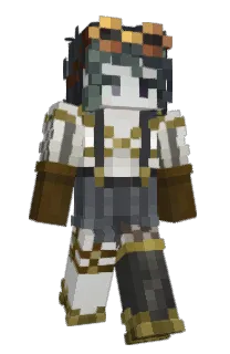 Front of worjx's skin