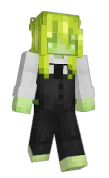Slim Minecraft skin