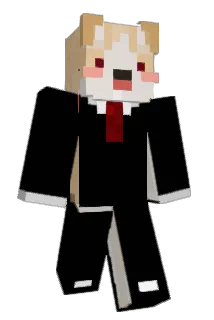 baemax01 Minecraft avatar full body