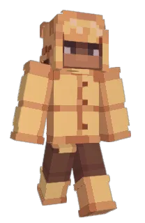 Front of ammio's skin