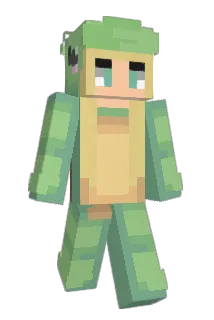baggle0person Minecraft avatar full body
