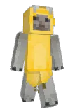 bagplcoaie Minecraft avatar full body