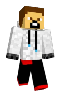 bajenm Minecraft avatar full body