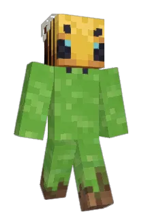bakey0 Minecraft avatar full body