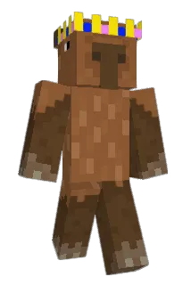 baldgru Minecraft avatar full body