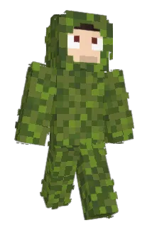 baltyk_ Minecraft avatar full body