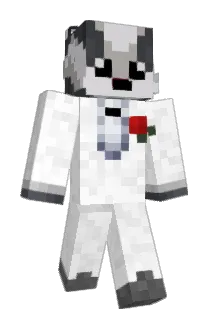 banditmen Minecraft avatar full body