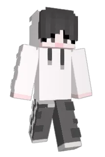 banghi Minecraft avatar full body