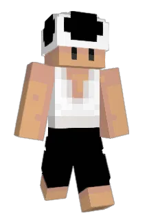 bapsjon Minecraft avatar full body