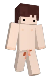barc343 Minecraft avatar full body