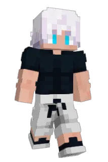 barinlyc Minecraft avatar full body