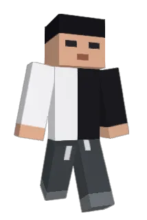 barrote Minecraft avatar full body