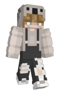 bartbrinkman Minecraft avatar full body