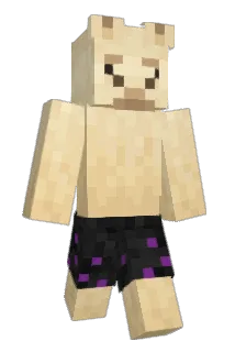 basda1 Minecraft avatar full body