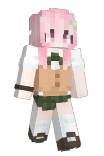 baskwa Minecraft avatar full body