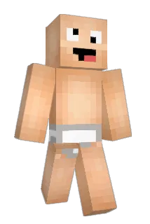 bassarme Minecraft avatar full body
