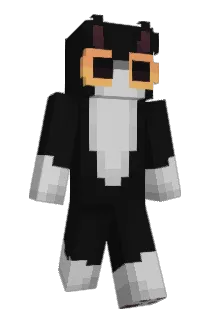 basshunter420 Minecraft avatar full body